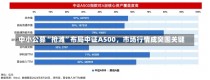 中小公募“抢滩”布局中证A500，市场行情成突围关键